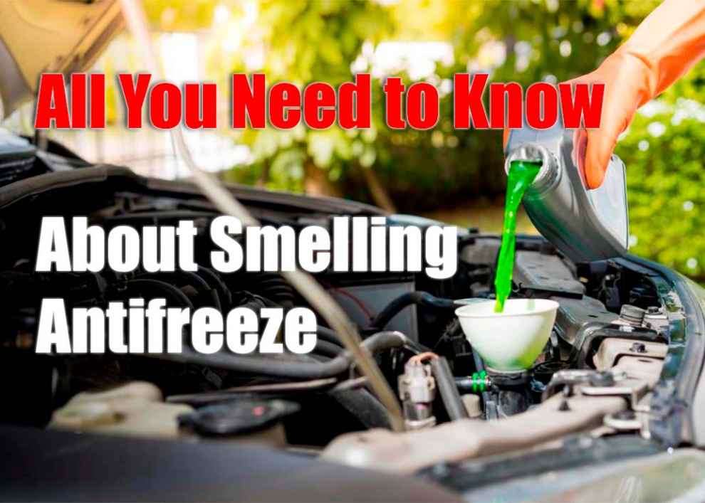 All You Need to Know About Smelling Antifreeze